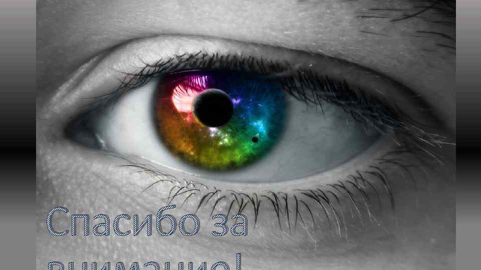 Спасибо за 