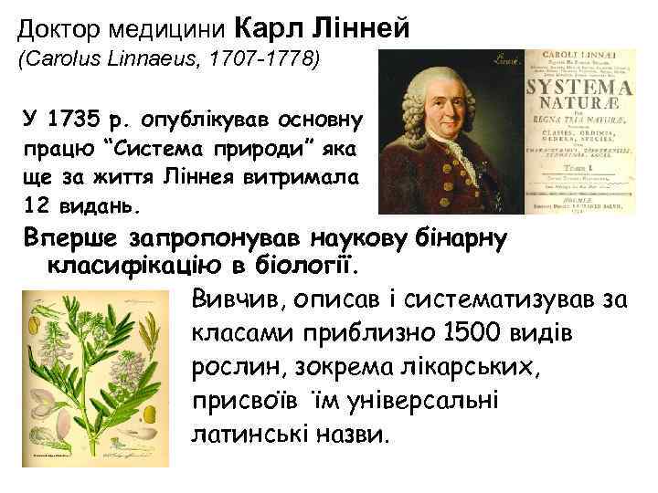 Доктор медицини Карл Лінней (Carolus Linnaeus, 1707 -1778) У 1735 р. опублікував основну працю