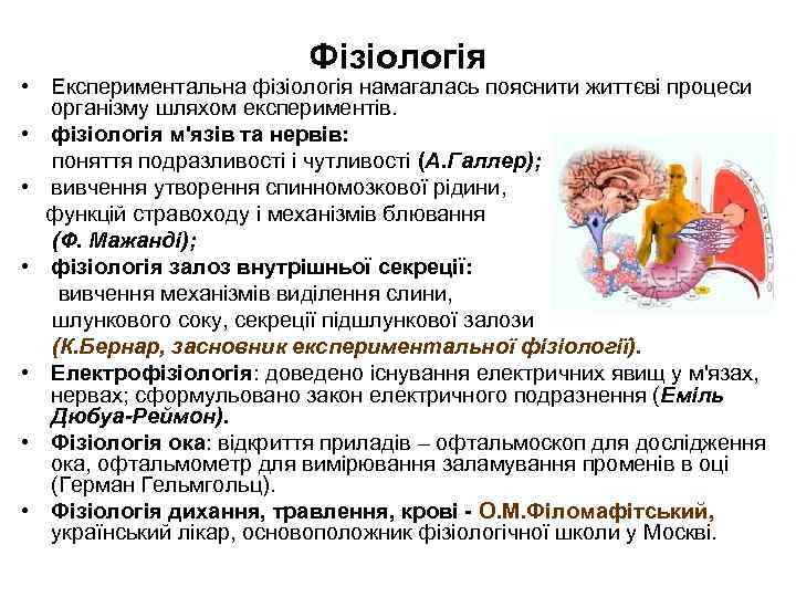 Фізіологія • Експериментальна фізіологія намагалась пояснити життєві процеси організму шляхом експериментів. • фізіологія м'язів