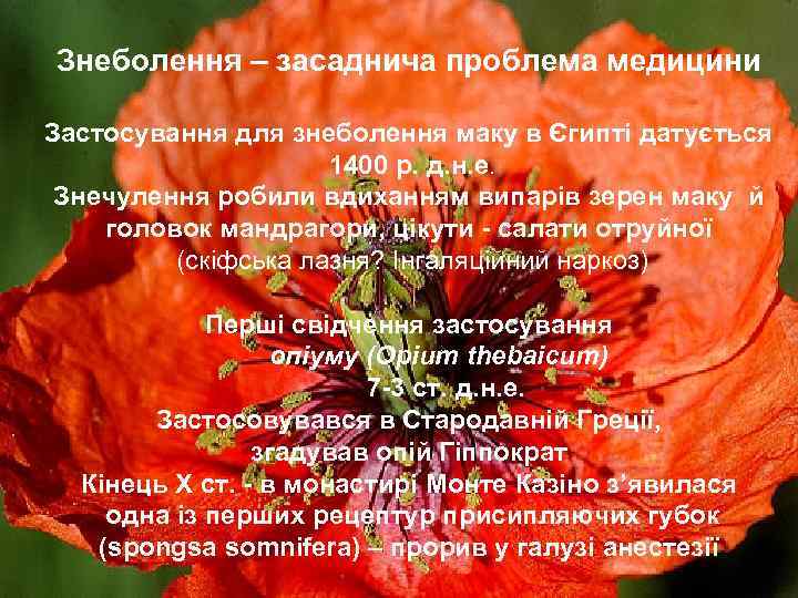 Знеболення – засаднича проблема медицини Застосування для знеболення маку в Єгипті датується 1400 р.