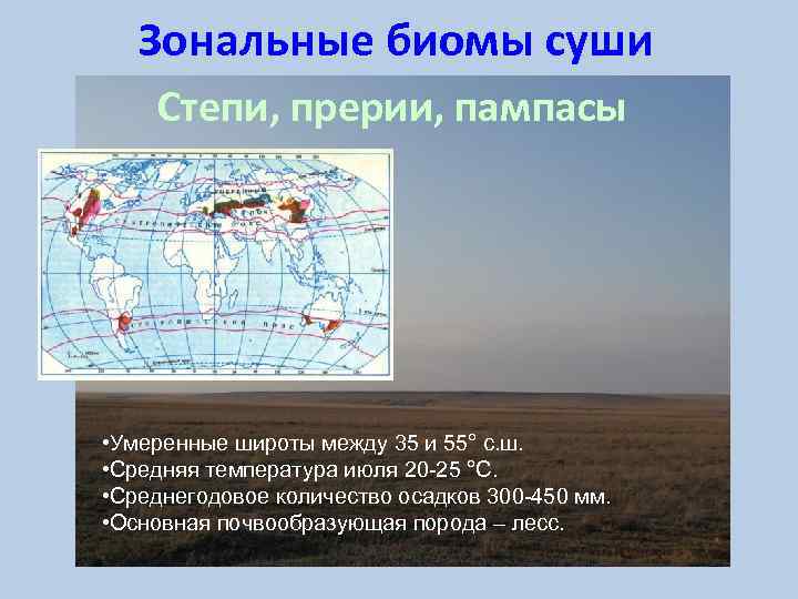 Основные биомы земли презентация 11 класс