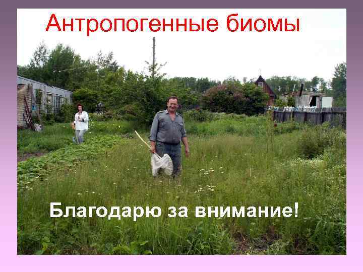 Антропогенные биомы Благодарю за внимание! 