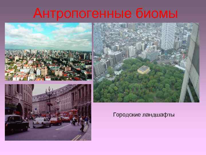 Антропогенные ландшафты города. Городские антропогенные ландшафты. Антропогенный ландшафт города городские. Антропогенные ландшафты города проект. Антропогенные биомы.