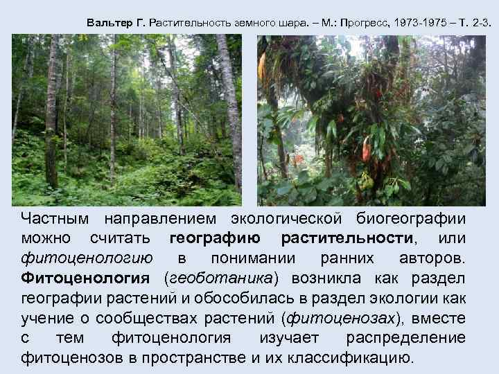 Вальтер Г. Растительность земного шара. – М. : Прогресс, 1973 -1975 – Т. 2