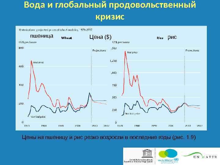 Вода и глобальный продовольственный кризис пшеница Цена ($) рис Цены на пшеницу и рис