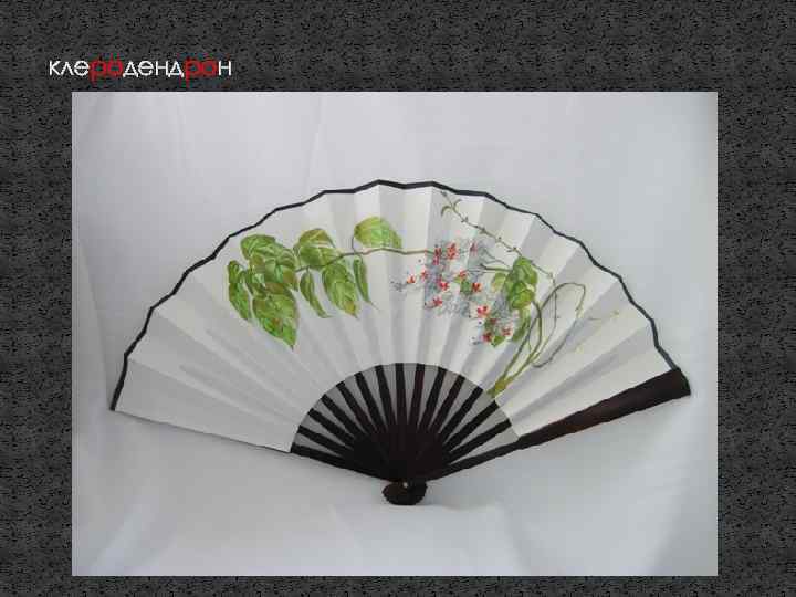 клеродендрон 