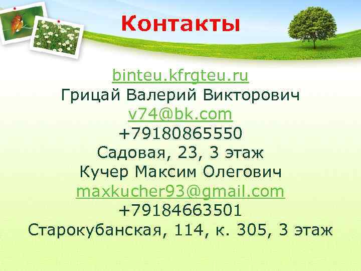 Контакты binteu. kfrgteu. ru Грицай Валерий Викторович v 74@bk. com +79180865550 Садовая, 23, 3