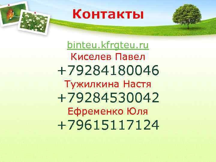 Контакты binteu. kfrgteu. ru Киселев Павел +79284180046 Тужилкина Настя +79284530042 Ефременко Юля +79615117124 