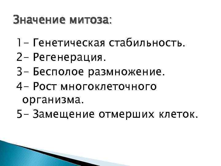 Значение митоза: 1 - Генетическая стабильность. 2 - Регенерация. 3 - Бесполое размножение. 4