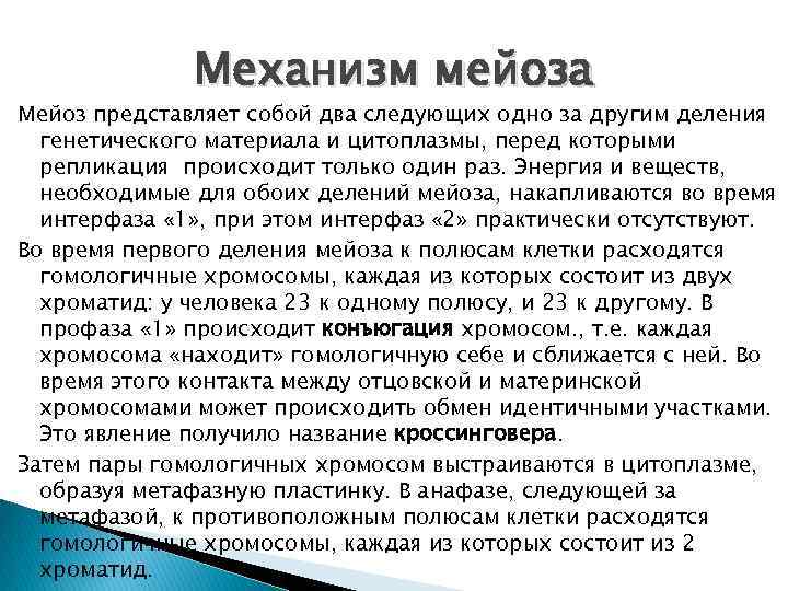 Механизм мейоза Мейоз представляет собой два следующих одно за другим деления генетического материала и