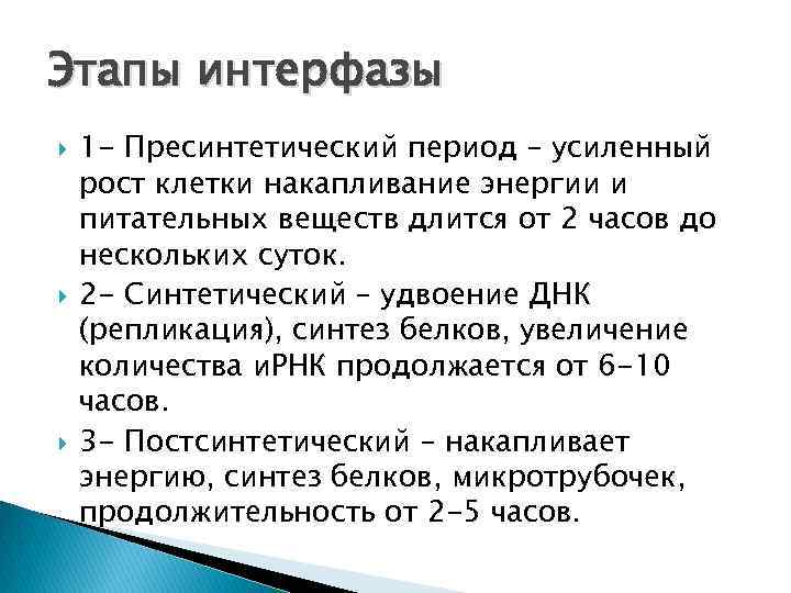 Этапы интерфазы 1 - Пресинтетический период – усиленный рост клетки накапливание энергии и питательных