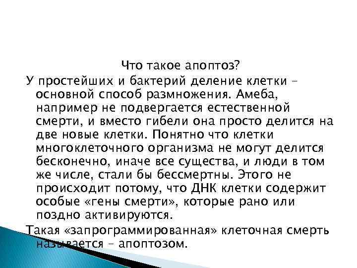 Что такое апоптоз? У простейших и бактерий деление клетки – основной способ размножения. Амеба,