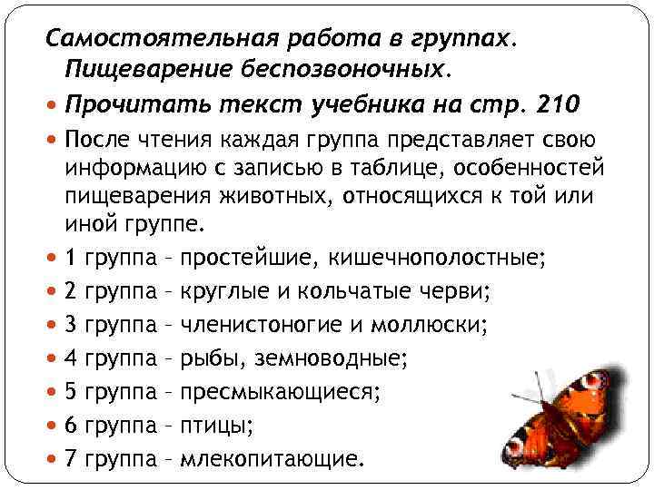 Самостоятельная работа в группах. Пищеварение беспозвоночных. Прочитать текст учебника на стр. 210 После чтения