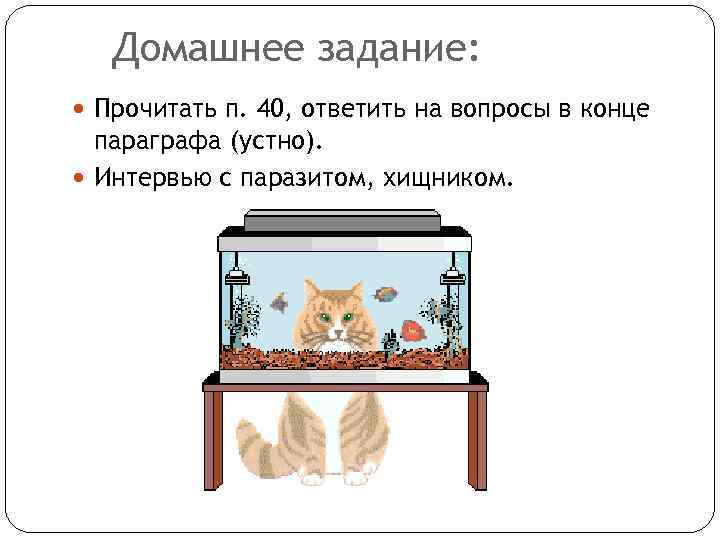 Домашнее задание: Прочитать п. 40, ответить на вопросы в конце параграфа (устно). Интервью с