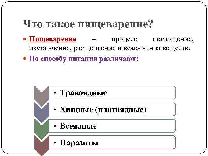 Что такое пищеварение? Пищеварение – процесс поглощения, измельчения, расщепления и всасывания веществ. По способу