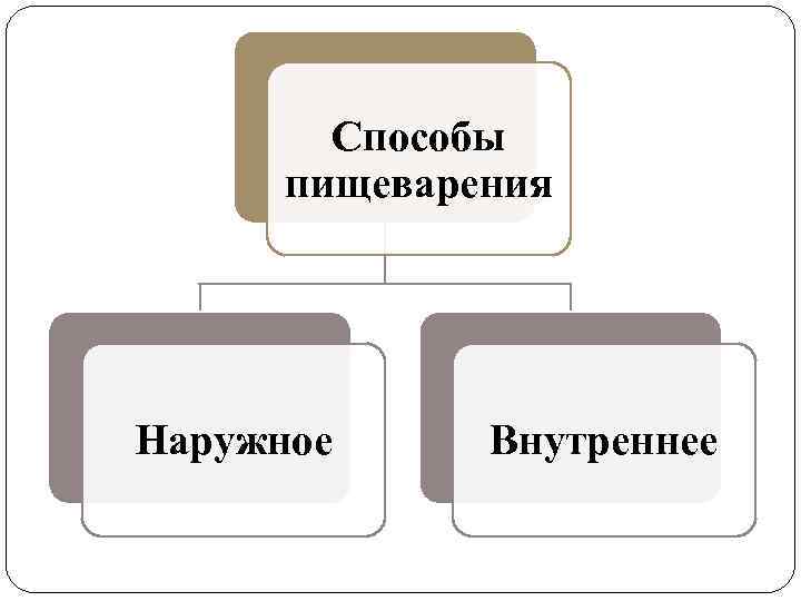 Способы пищеварения Наружное Внутреннее 