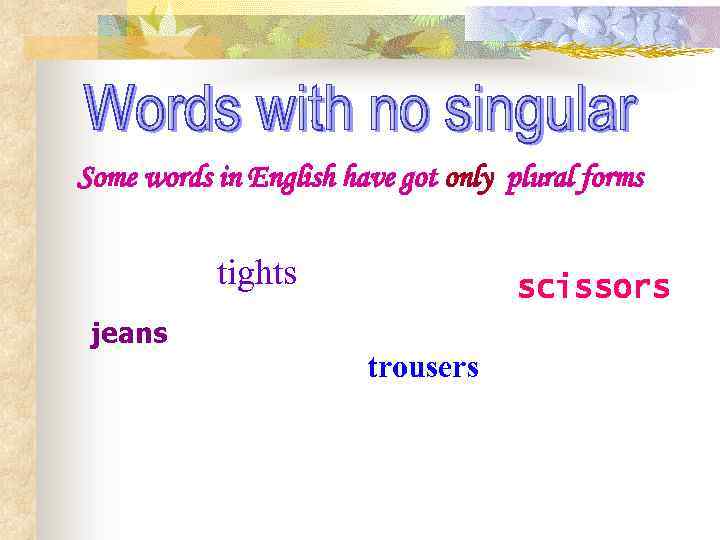 Some words in English have got only plural forms tights jeans scissors trousers 