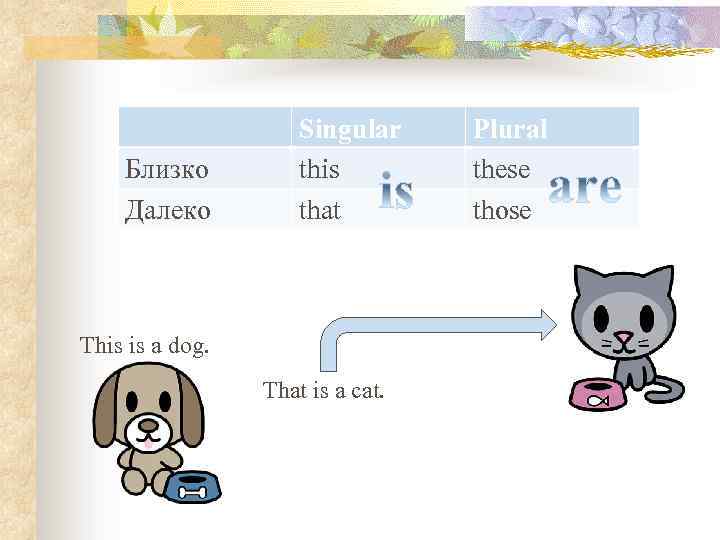 Близко Далеко Singular this that This is a dog. That is a cat. Plural