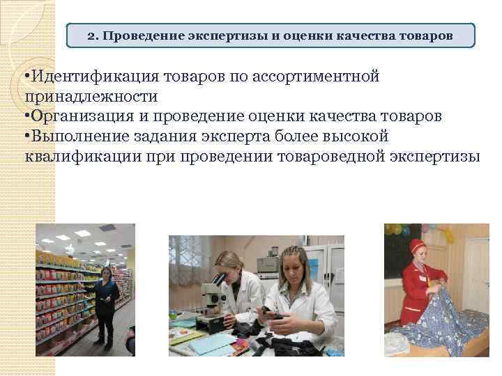 Организация и проведение экспертизы