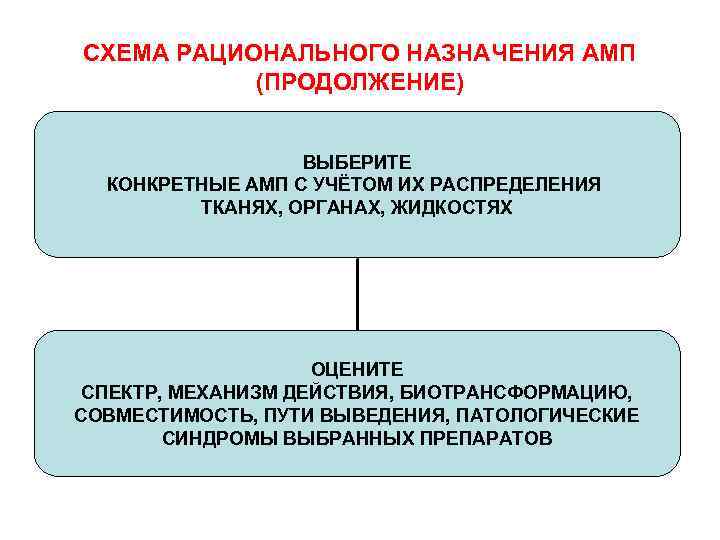 СХЕМА РАЦИОНАЛЬНОГО НАЗНАЧЕНИЯ АМП (ПРОДОЛЖЕНИЕ) ВЫБЕРИТЕ КОНКРЕТНЫЕ АМП С УЧЁТОМ ИХ РАСПРЕДЕЛЕНИЯ ТКАНЯХ, ОРГАНАХ,