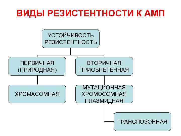ВИДЫ РЕЗИСТЕНТНОСТИ К АМП УСТОЙЧИВОСТЬ РЕЗИСТЕНТНОСТЬ ПЕРВИЧНАЯ (ПРИРОДНАЯ) ВТОРИЧНАЯ ПРИОБРЕТЁННАЯ ХРОМАСОМНАЯ МУТАЦИОННАЯ ХРОМОСОМНАЯ ПЛАЗМИДНАЯ
