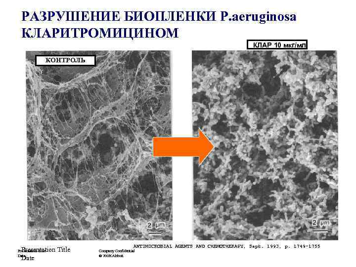 РАЗРУШЕНИЕ БИОПЛЕНКИ P. aeruginosa КЛАРИТРОМИЦИНОМ КЛАР 10 мкг/мл КОНТРОЛЬ Presentation Title Date ANTIMICROBIAL AGENTS