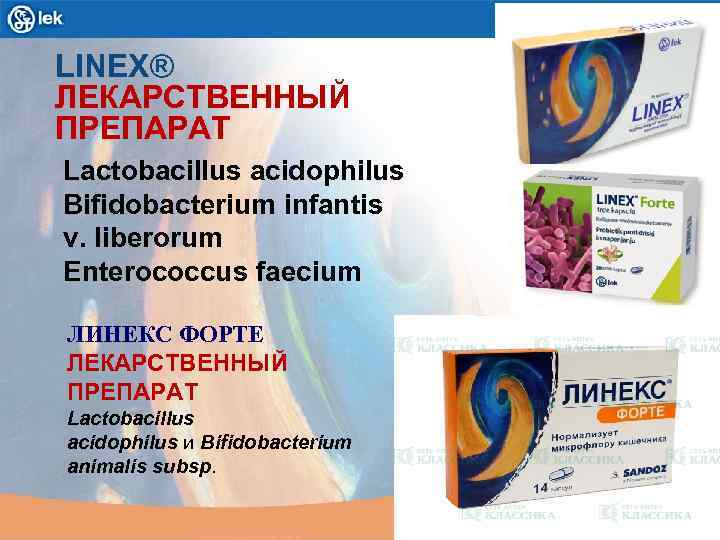 LINEX® ЛЕКАРСТВЕННЫЙ ПРЕПАРАТ Lactobacillus acidophilus Bifidobacterium infantis v. liberorum Enterococcus faecium ЛИНЕКС ФОРТЕ ЛЕКАРСТВЕННЫЙ