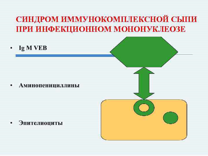 СИНДРОМ ИММУНОКОМПЛЕКСНОЙ СЫПИ ПРИ ИНФЕКЦИОННОМ МОНОНУКЛЕОЗЕ 