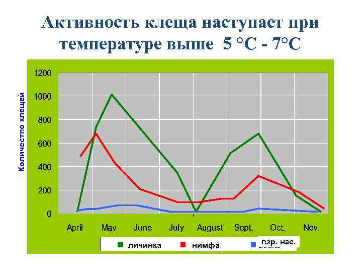 Количество клещей Активность клеща наступает при температуре выше 5 °C - 7°C личинка нимфа