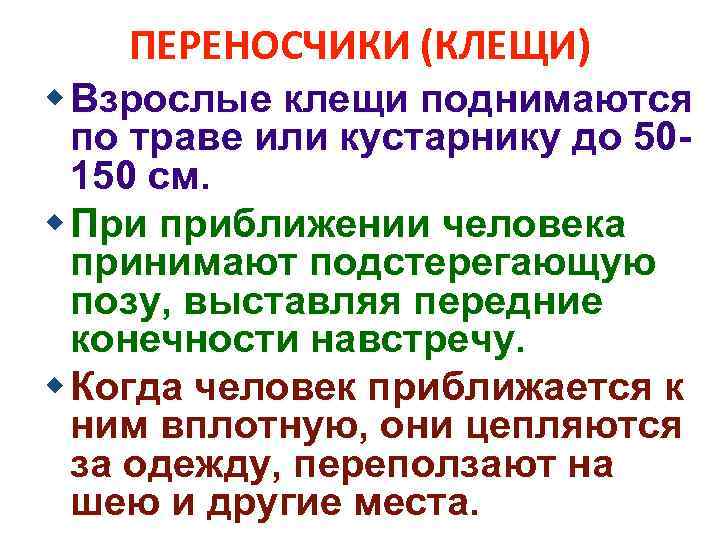 ПЕРЕНОСЧИКИ (КЛЕЩИ) w Взрослые клещи поднимаются по траве или кустарнику до 50150 см. w