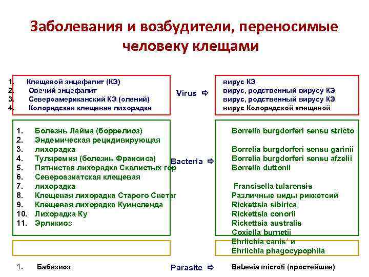 Заболевания и возбудители, переносимые человеку клещами 1. 2. 3. 4. Клещевой энцефалит (КЭ) Овечий