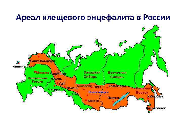 Где водятся энцефалитные клещи. Клещевой энцефалит зона распространения. Ареал распространения энцефалитных клещей в России. Ареал обитания энцефалитных клещей в России. Зона распространения клещей в России.