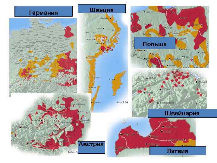 Германия Швеция Польша Швейцария Австрия Латвия 