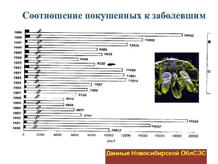 Соотношение покушенных к заболевшим Данные Новосибирской Обл. СЭС 