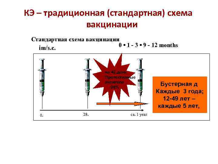 КЭ – традиционная (стандартная) схема вакцинации Стандартная схема вакцинации 0 • 1 - 3