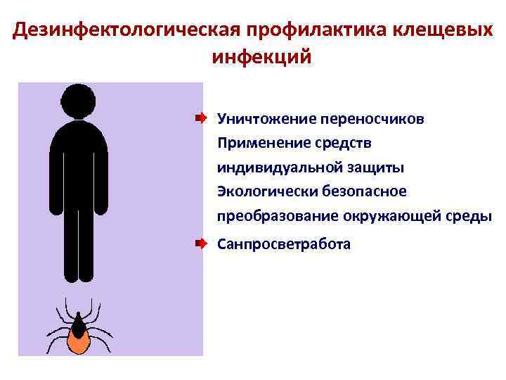 Дезинфектологическая профилактика клещевых инфекций Уничтожение переносчиков Применение средств индивидуальной защиты Экологически безопасное преобразование окружающей