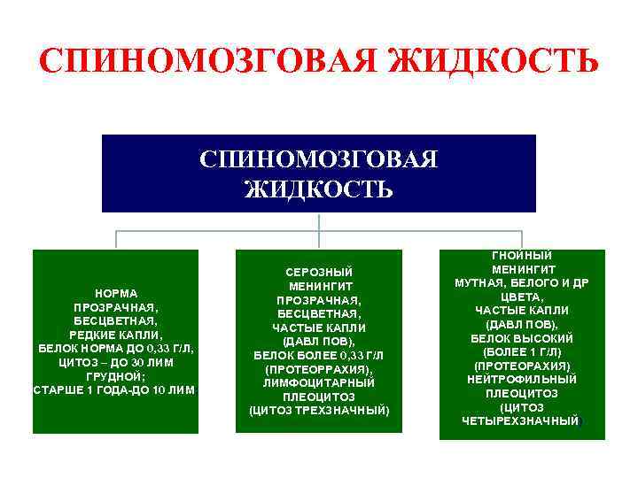 СПИНОМОЗГОВАЯ ЖИДКОСТЬ НОРМА ПРОЗРАЧНАЯ, БЕСЦВЕТНАЯ, РЕДКИЕ КАПЛИ, БЕЛОК НОРМА ДО 0, 33 Г/Л, ЦИТОЗ