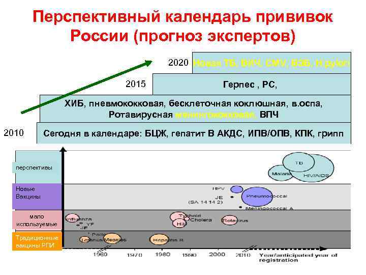 Перспективный календарь прививок России (прогноз экспертов) 2020 Новая ТБ, ВИЧ, СМV, ВЭБ, H. pylori