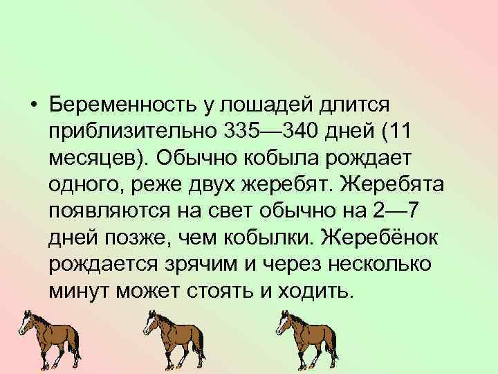  • Беременность у лошадей длится приблизительно 335— 340 дней (11 месяцев). Обычно кобыла