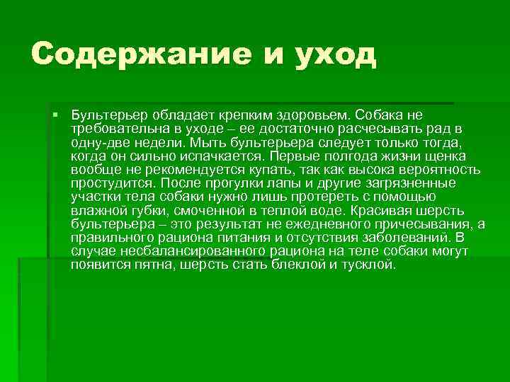 Содержание и уход § Бультерьер обладает крепким здоровьем. Собака не требовательна в уходе –