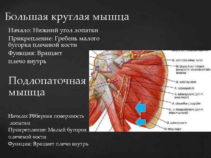 Карта вызова смп тромбоз верхней конечности