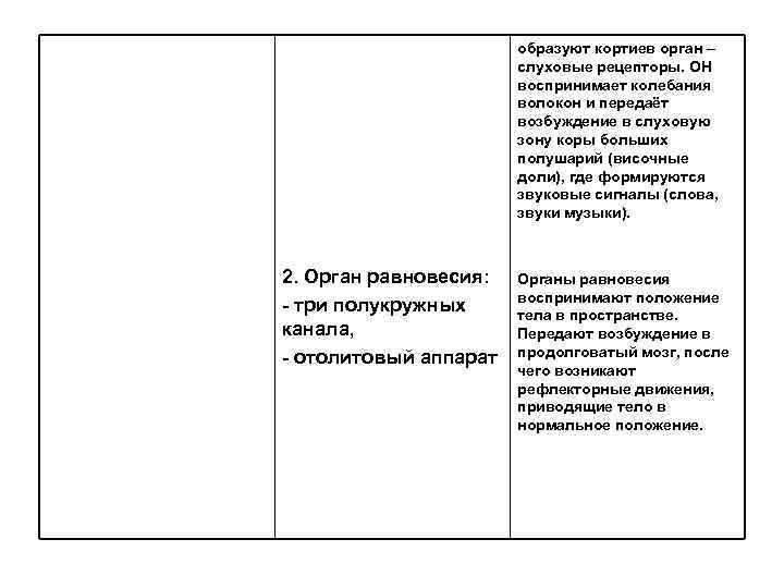 образуют кортиев орган – слуховые рецепторы. ОН воспринимает колебания волокон и передаёт возбуждение в