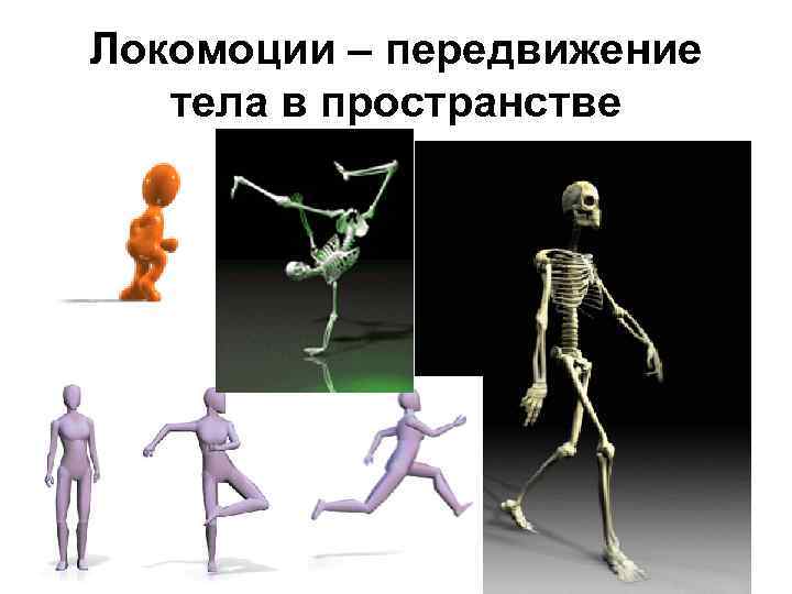Локомоции – передвижение тела в пространстве 