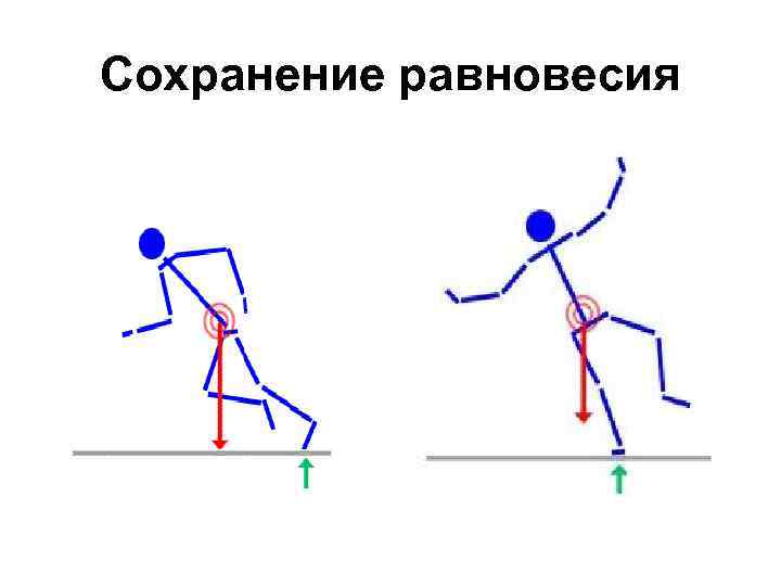Сохранение равновесия 