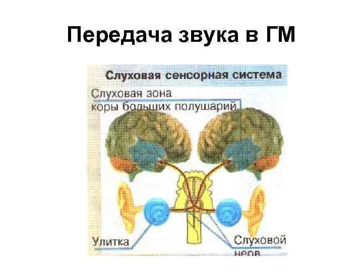 Передача звука в ГМ 
