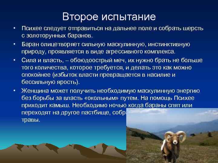 Второе испытание • Психее следует отправиться на дальнее поле и собрать шерсть с золоторунных