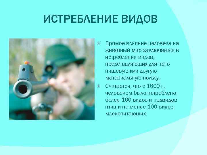 Влияние человека на растительный и животный мир презентация