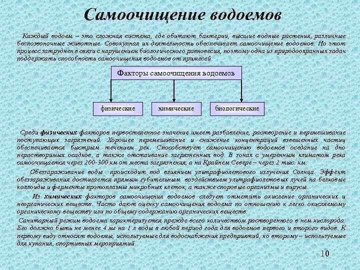 Самоочищение водоемов Каждый водоем – это сложная система, где обитают бактерии, высшие водные растения,