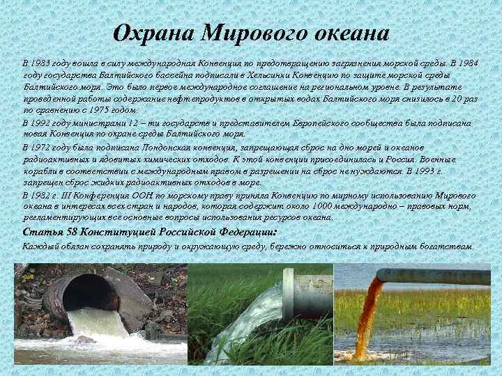 Проект загрязнение водной среды