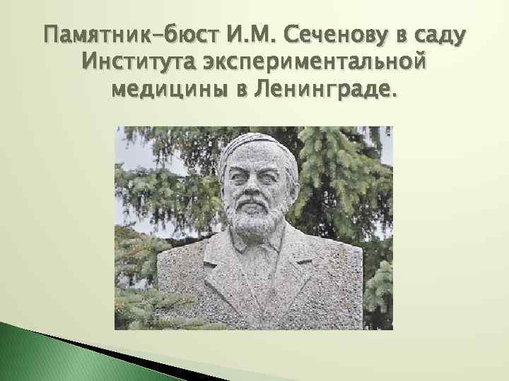 Презентация по сеченову